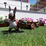 романс Πανσιόν Yagodina