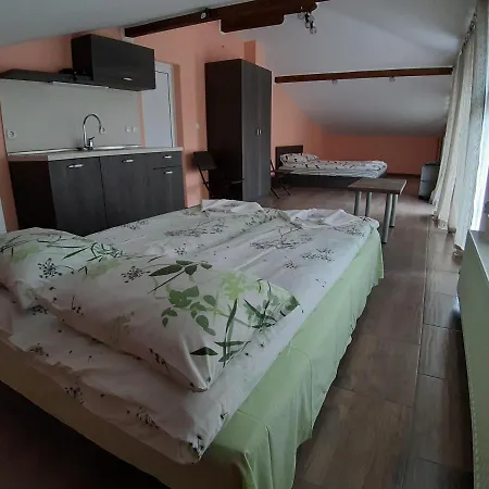 Guest house романс Yagodina