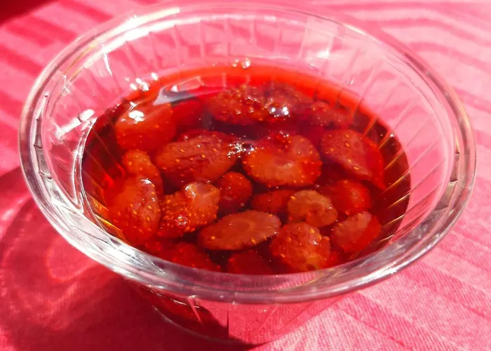 романс Gasthof Yagodina